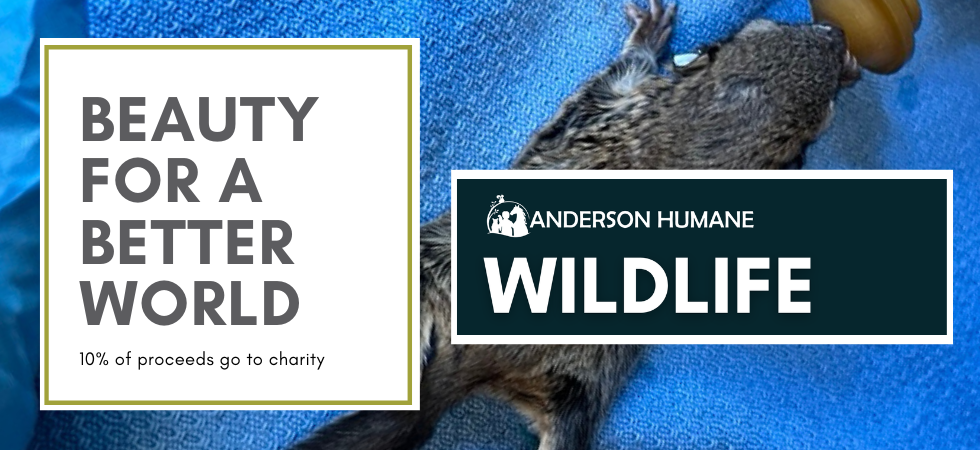 charity website - Anderson Humane Wildlife